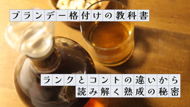 記事サムネイル